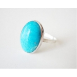 Rashi Ratan Firoza ( Turquoise ) Ring